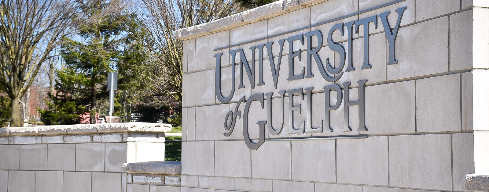 The University of Guelph logo is displayed on a stone wall in front of the campus.